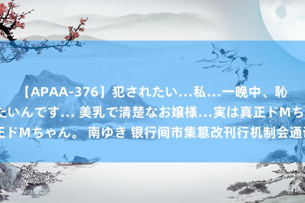 【APAA-376】犯されたい…私…一晩中、恥ずかしい恰好で犯されたいんです… 美乳で清楚なお嬢様…実は真正ドMちゃん。 南ゆき 银行间市集篡改刊行机制会通试点债券落地天津