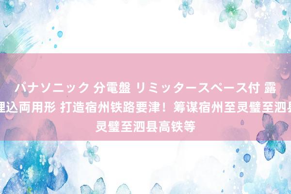 パナソニック 分電盤 リミッタースペース付 露出・半埋込両用形 打造宿州铁路要津！筹谋宿州至灵璧至泗县高铁等