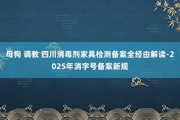 母狗 调教 四川消毒剂家具检测备案全经由解读-2025年消字号备案新规