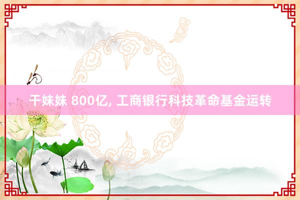 干妹妹 800亿， 工商银行科技革命基金运转