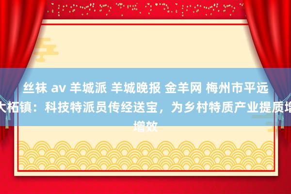丝袜 av 羊城派 羊城晚报 金羊网 梅州市平远县大柘镇：科技特派员传经送宝，为乡村特质产业提质增效