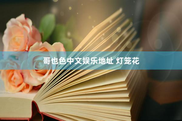 哥也色中文娱乐地址 灯笼花
