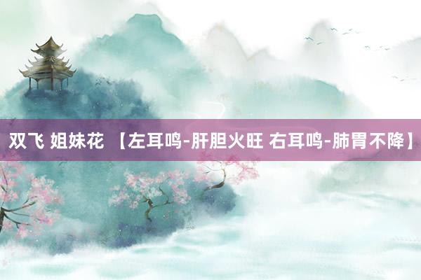 双飞 姐妹花 【左耳鸣-肝胆火旺 右耳鸣-肺胃不降】