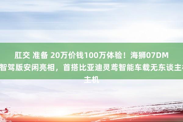 肛交 准备 20万价钱100万体验！海狮07DM-i智驾版安闲亮相，首搭比亚迪灵鸢智能车载无东谈主机
