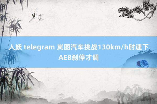 人妖 telegram 岚图汽车挑战130km/h时速下AEB刹停才调
